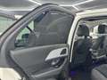 Mercedes-Benz GLE 350 de 4Matic Aut.*AMG-Paket*Night-Paket* Weiß - thumbnail 26
