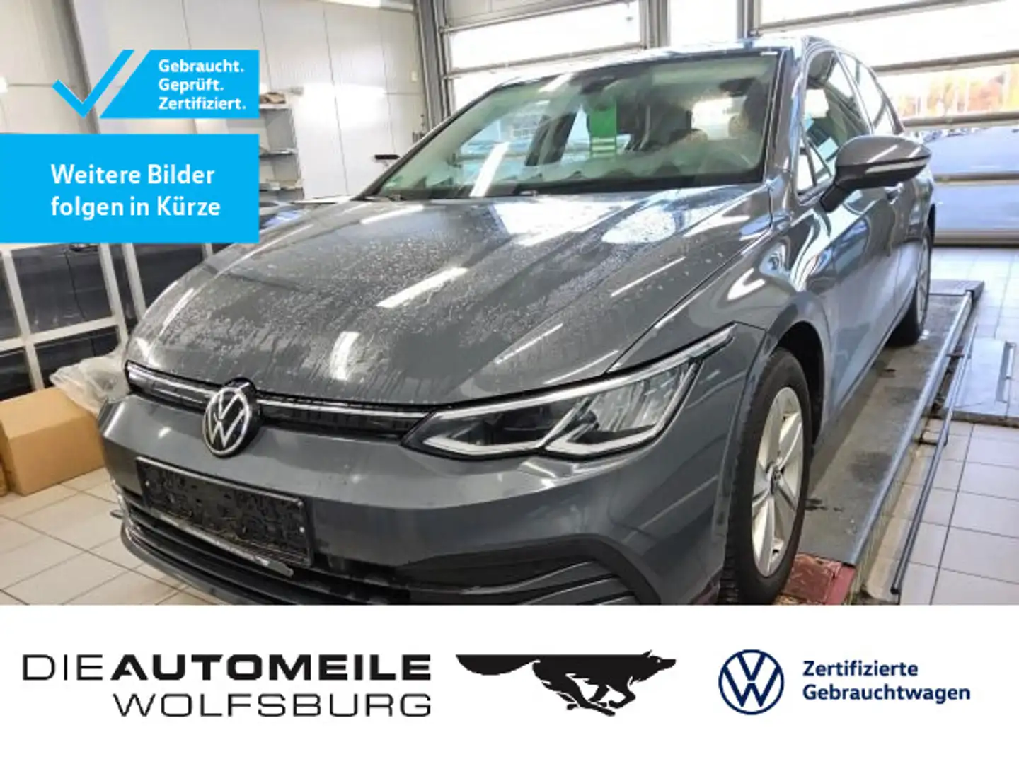 Volkswagen Golf 8 VIII 1.5 eTSI DSG Life LED/Einparkhi/Mult Grau - 1