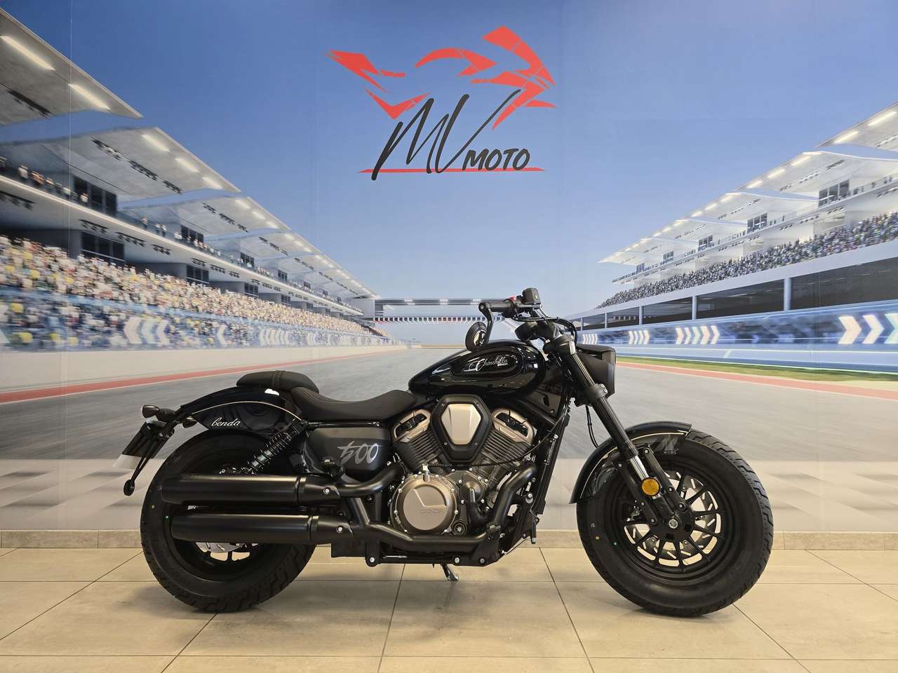 Benda Chinchilla 500 "pronta consegna"