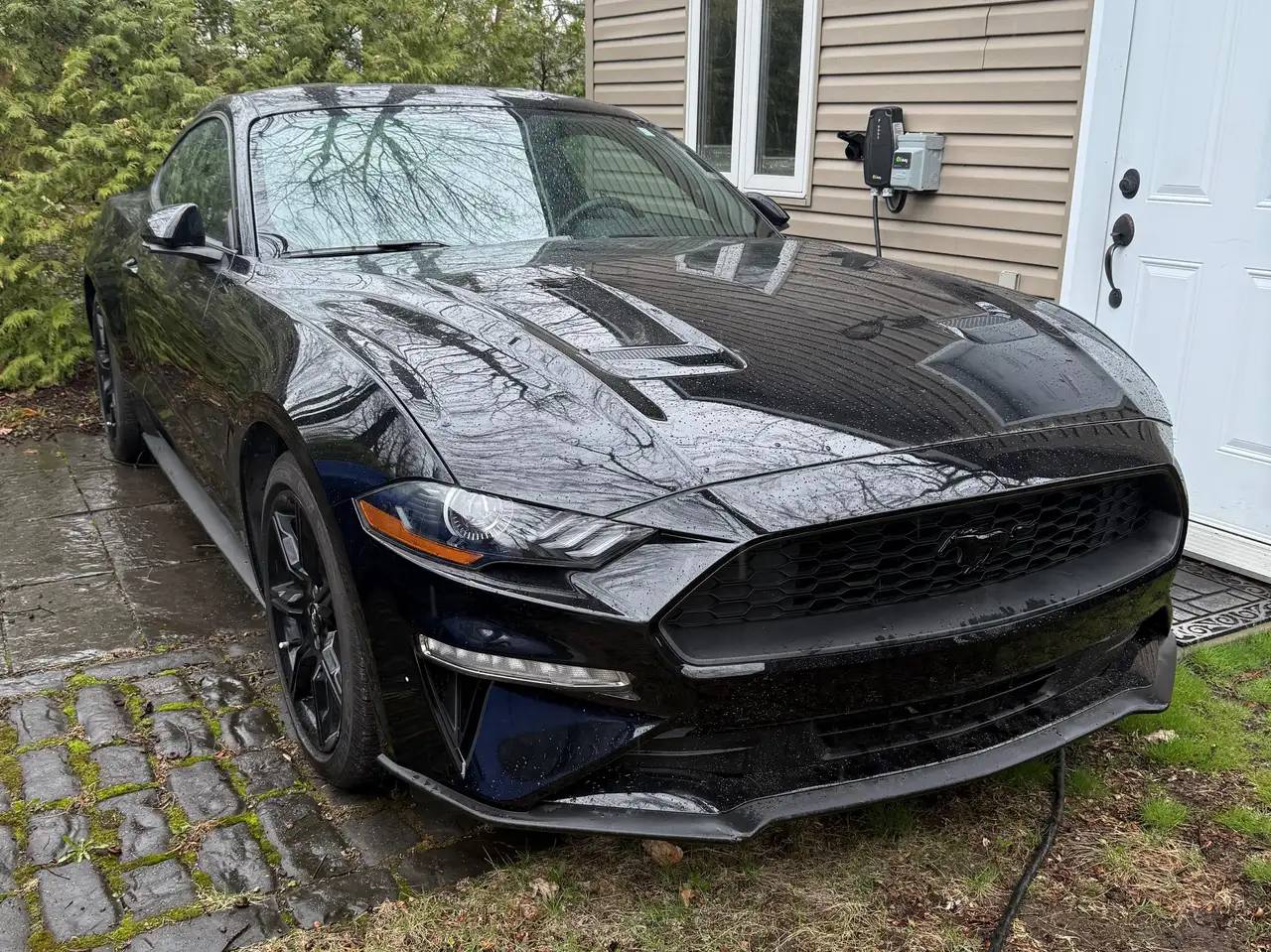 2020 Ford Mustang