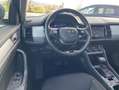 Skoda Kodiaq 2.0 TDI DSG 4x4 TOUR 19"+NAVI-COLUMBUS+ST Grau - thumbnail 9