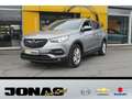 Opel Grandland X Grandland 1.2T Edition Sitz/Lenkradheizung 17'' Gri - thumbnail 1