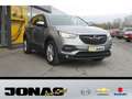 Opel Grandland X Grandland 1.2T Edition Sitz/Lenkradheizung 17'' Gri - thumbnail 20