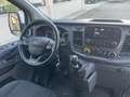 Ford Transit Custom Transit Custom 280 2.0 EcoBlue PC Furgone Entry Bianco - thumbnail 13