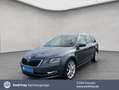 Skoda Octavia Combi 2.0 TDI 4x4 DSG Style Pano*LED Grau - thumbnail 1