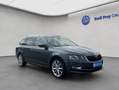 Skoda Octavia Combi 2.0 TDI 4x4 DSG Style Pano*LED Grau - thumbnail 8