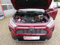 Toyota RAV 4 2.5 Hybrid Allrad 4x4 LED 5J Garantie Rojo - thumbnail 10