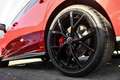 Volkswagen Golf GTI VIII 2.0 TSI DSG Black Style Rot - thumbnail 5