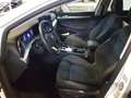 Volkswagen Golf VIII 1.5 TSI DSG Style ACC Kamera LED Navi Weiß - thumbnail 4
