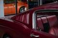 Ford Mustang GT Fastback Manual - ex Richard Rawlings Rojo - thumbnail 29