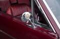 Ford Mustang GT Fastback Manual - ex Richard Rawlings Rojo - thumbnail 31