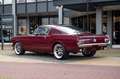 Ford Mustang GT Fastback Manual - ex Richard Rawlings Rojo - thumbnail 3