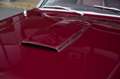 Ford Mustang GT Fastback Manual - ex Richard Rawlings Rojo - thumbnail 39