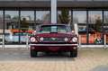 Ford Mustang GT Fastback Manual - ex Richard Rawlings Rojo - thumbnail 5