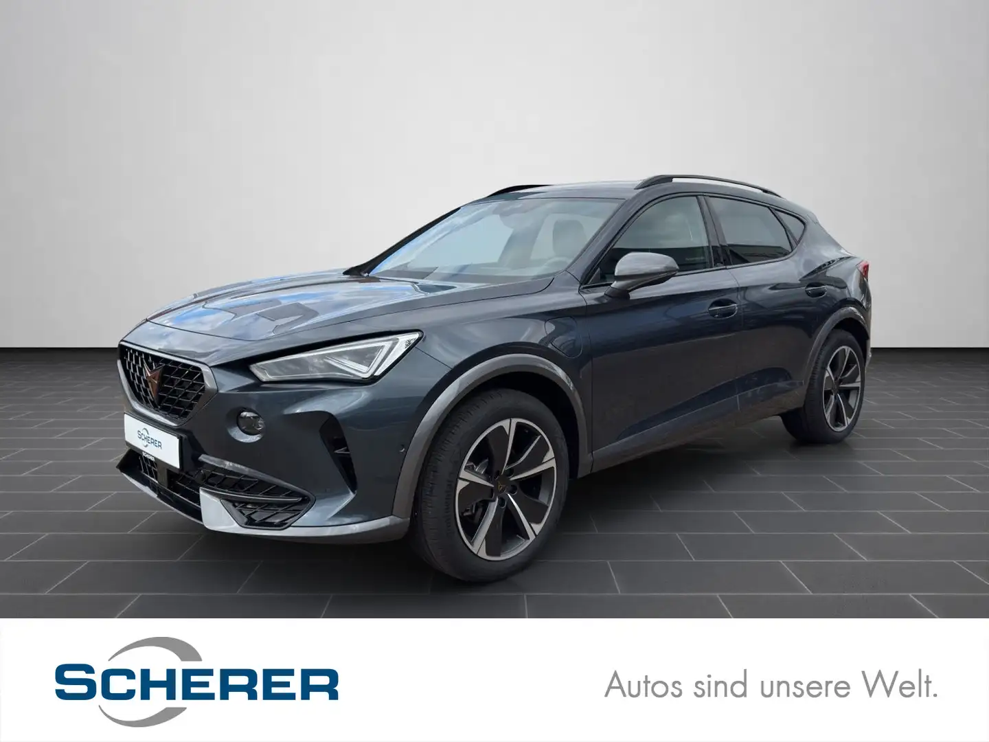 CUPRA Formentor 1.4 e-HYBRID FullLink SHZ RFK PDC Matr Grau - 1