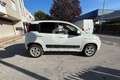 Fiat Panda Panda 0.9 TwinAir Turbo Natural Power Lounge Blanco - thumbnail 4