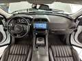 Jaguar F-Pace F-PACE 3.0d Portfolio AWD ACC Kamera 20"  1HD Weiß - thumbnail 13