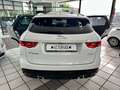 Jaguar F-Pace F-PACE 3.0d Portfolio AWD ACC Kamera 20"  1HD Weiß - thumbnail 6