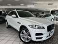 Jaguar F-Pace F-PACE 3.0d Portfolio AWD ACC Kamera 20"  1HD Weiß - thumbnail 1