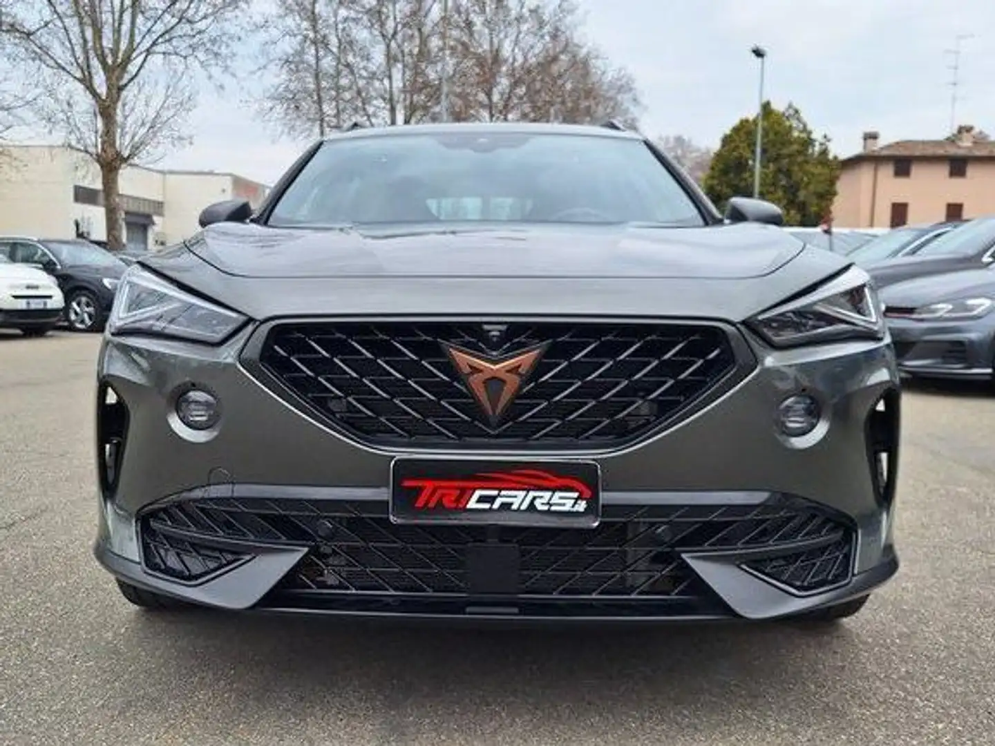 CUPRA Formentor Formentor 2.0 tsi Tribe Edition 245cv dsg PERMUTE Gris - 2
