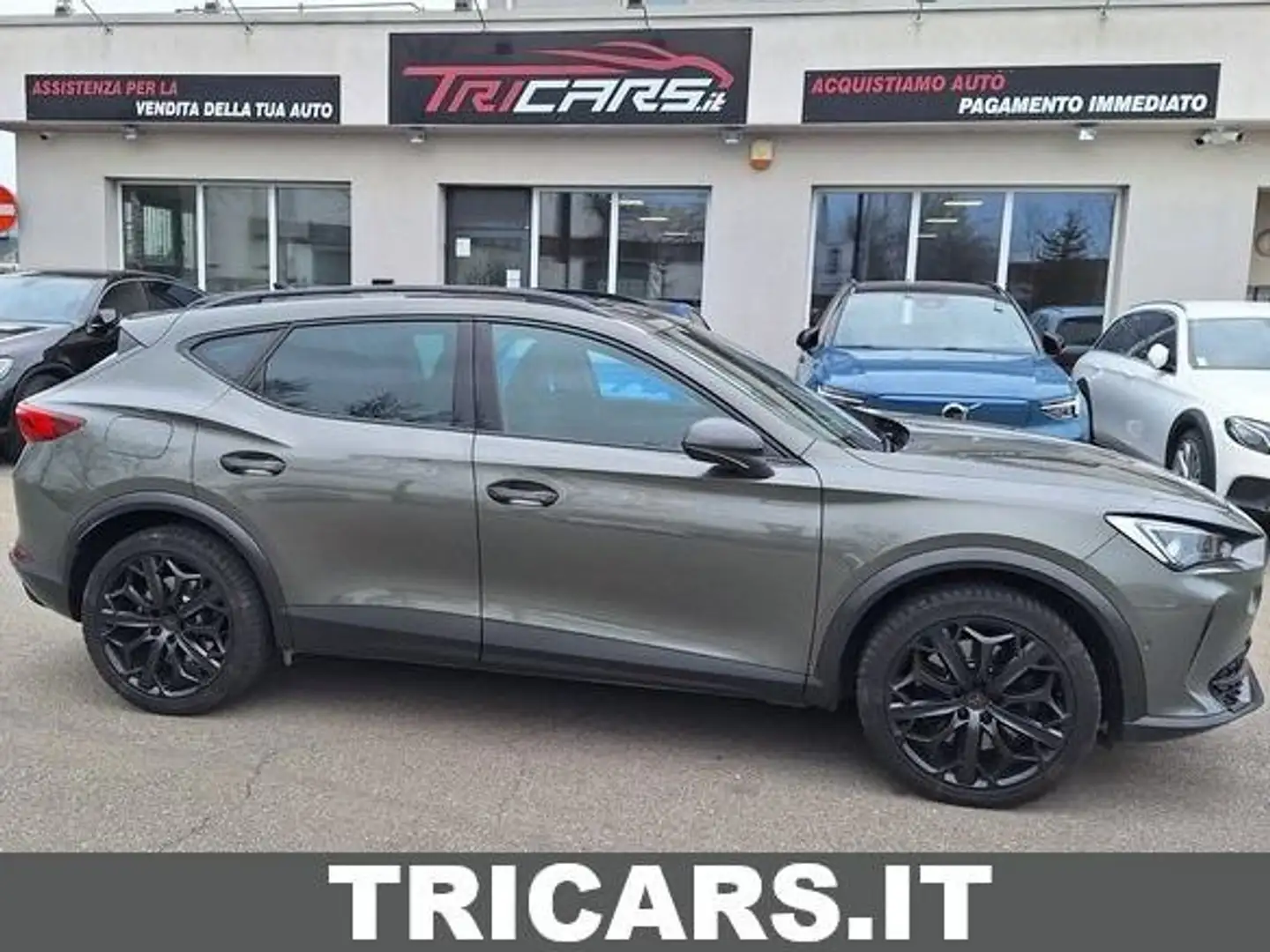 CUPRA Formentor Formentor 2.0 tsi Tribe Edition 245cv dsg PERMUTE Gris - 1