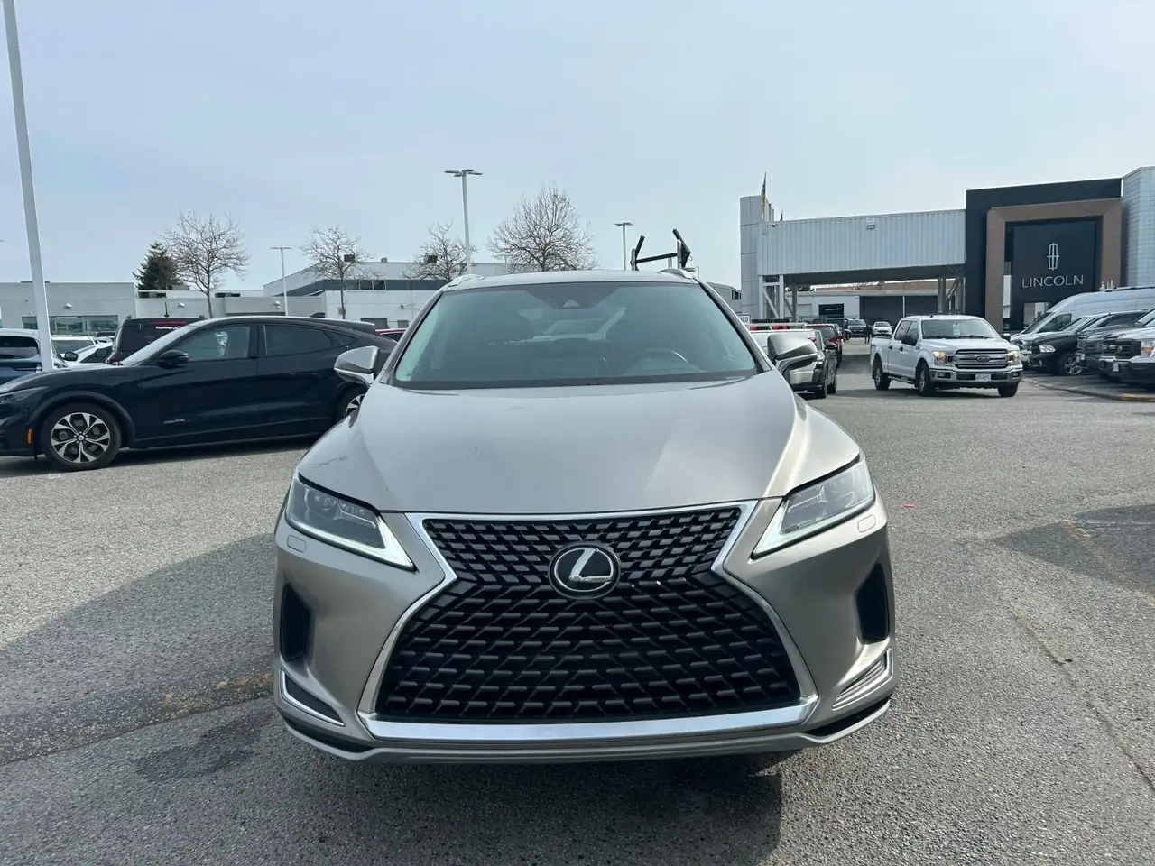 Lexus RX снимка Lexus RX