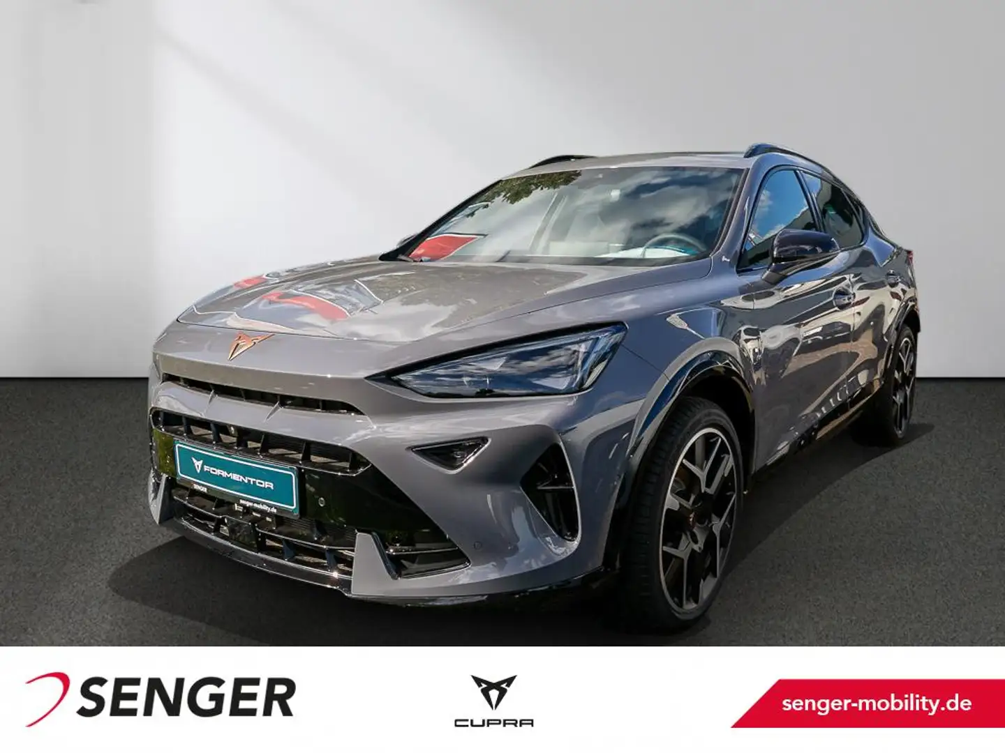 CUPRA Formentor VZ 2.0 TSI DSG AHK Matrix-LED Kessy Grau - 1