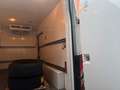 Ford Transit Kasten 350 L3 Trend KÜHLKASTEN MIT KLIMA Weiß - thumbnail 7