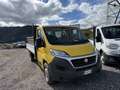 Fiat Ducato 2.3 130cv Cassone Fisso 4.50Mt 2019 - thumbnail 2