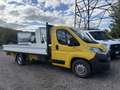 Fiat Ducato 2.3 130cv Cassone Fisso 4.50Mt 2019 - thumbnail 12