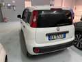 Fiat Panda Panda III 2012 1.3 mjt 16v Pop 75cv E5+ Wit - thumbnail 4