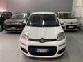Fiat Panda Panda III 2012 1.3 mjt 16v Pop 75cv E5+ Wit - thumbnail 2