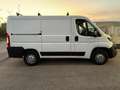 Peugeot Boxer Boxer 330 2.2 BlueHDi 140 S&S PC-TN Furgone Blanc - thumbnail 5