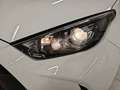 Toyota Yaris 120H 1.5 Business Plus Blanco - thumbnail 13