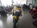 Benelli TRK 502 X Giallo - thumbnail 5