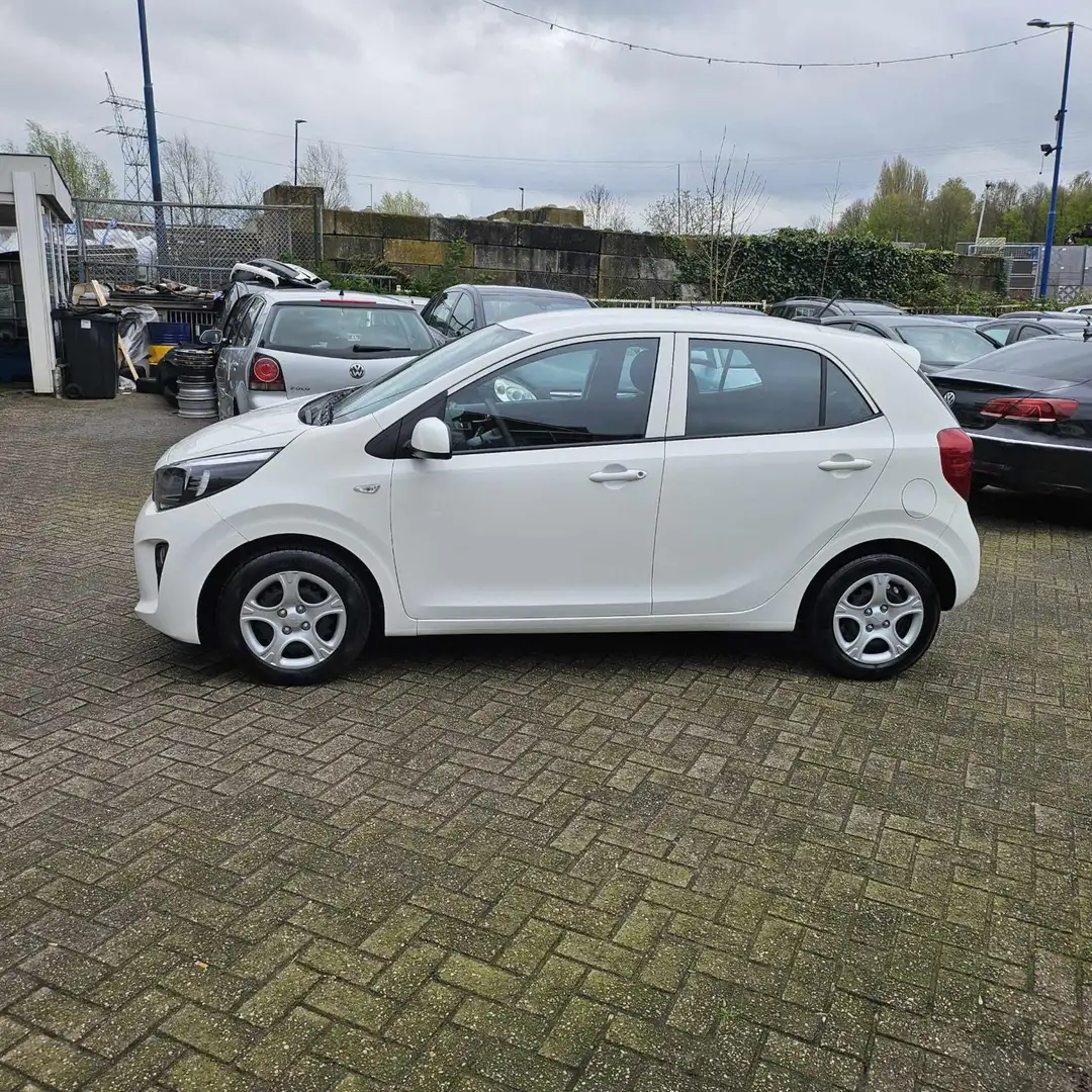 Kia Picanto 1.0 DPi ComfortLine 3.946km NAP! Splinternieuwe au Wit - 2