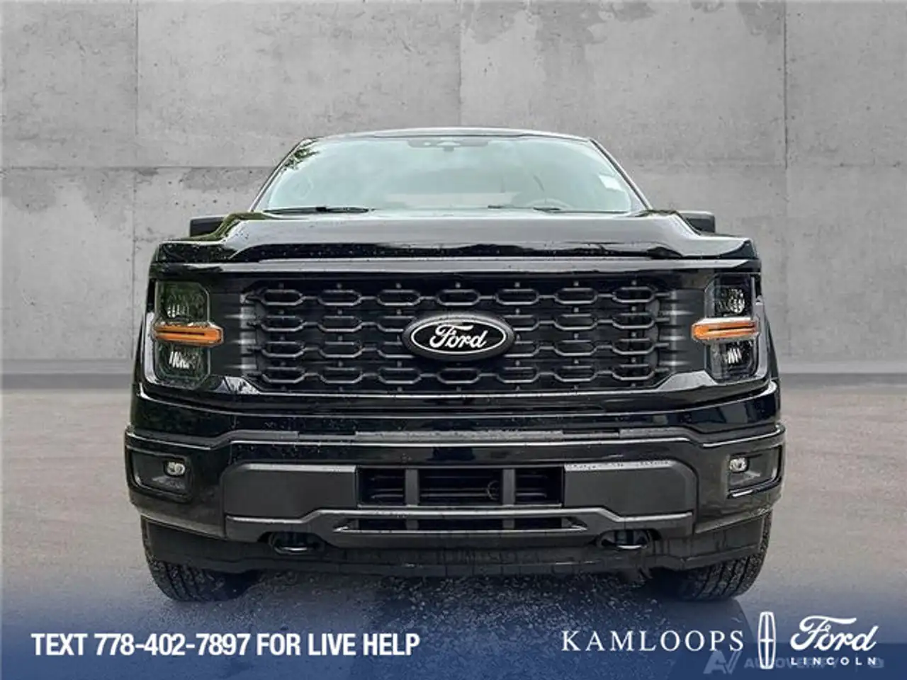Ford F 150 photo Ford F 150