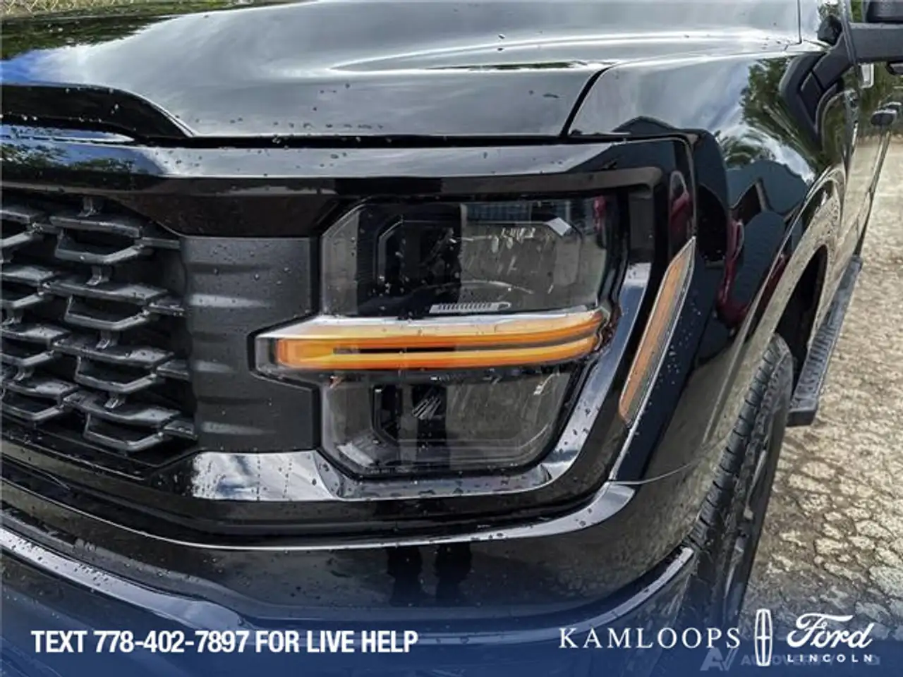Ford F 150 photo Ford F 150