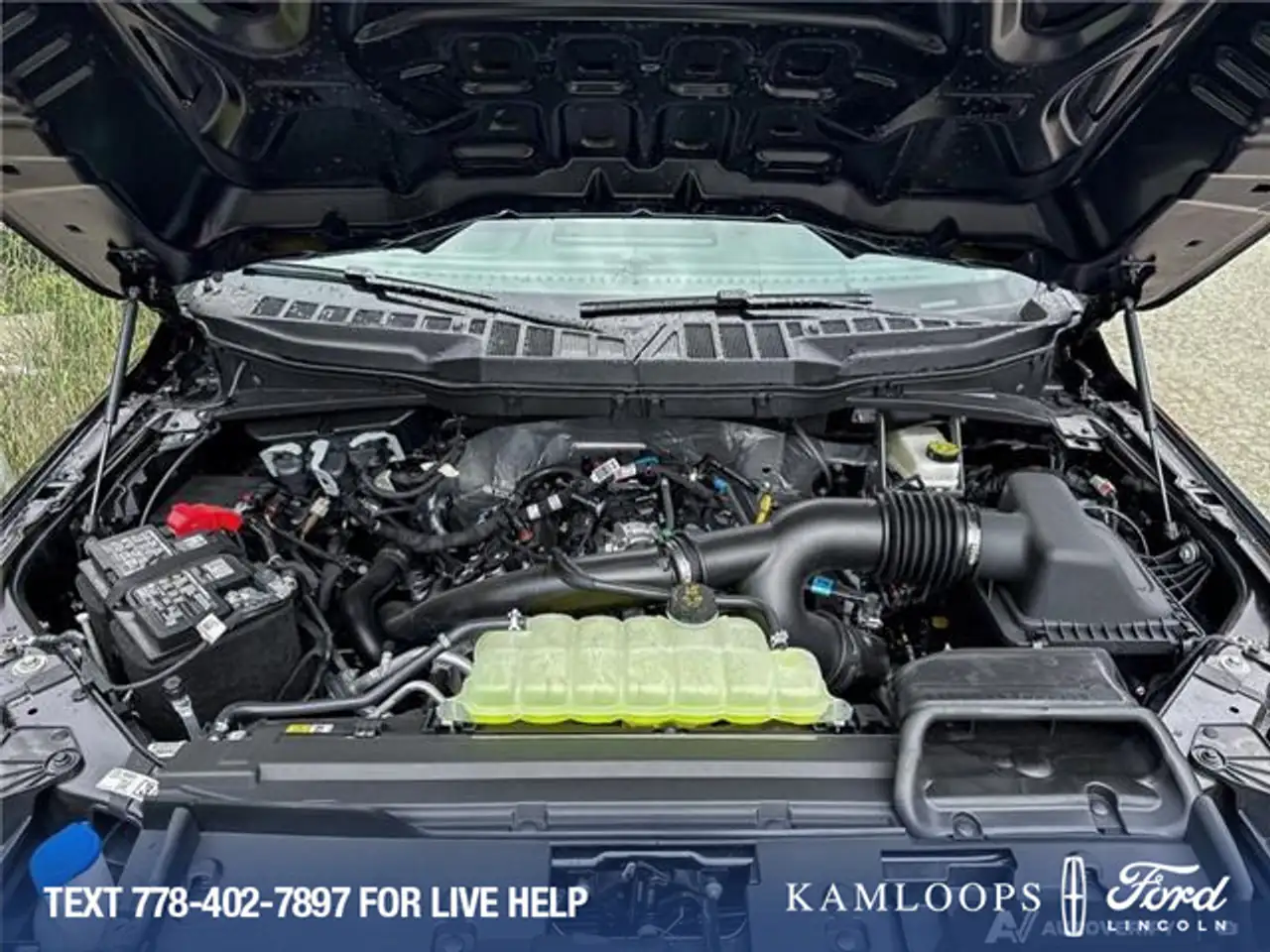 Ford F 150 photo Ford F 150