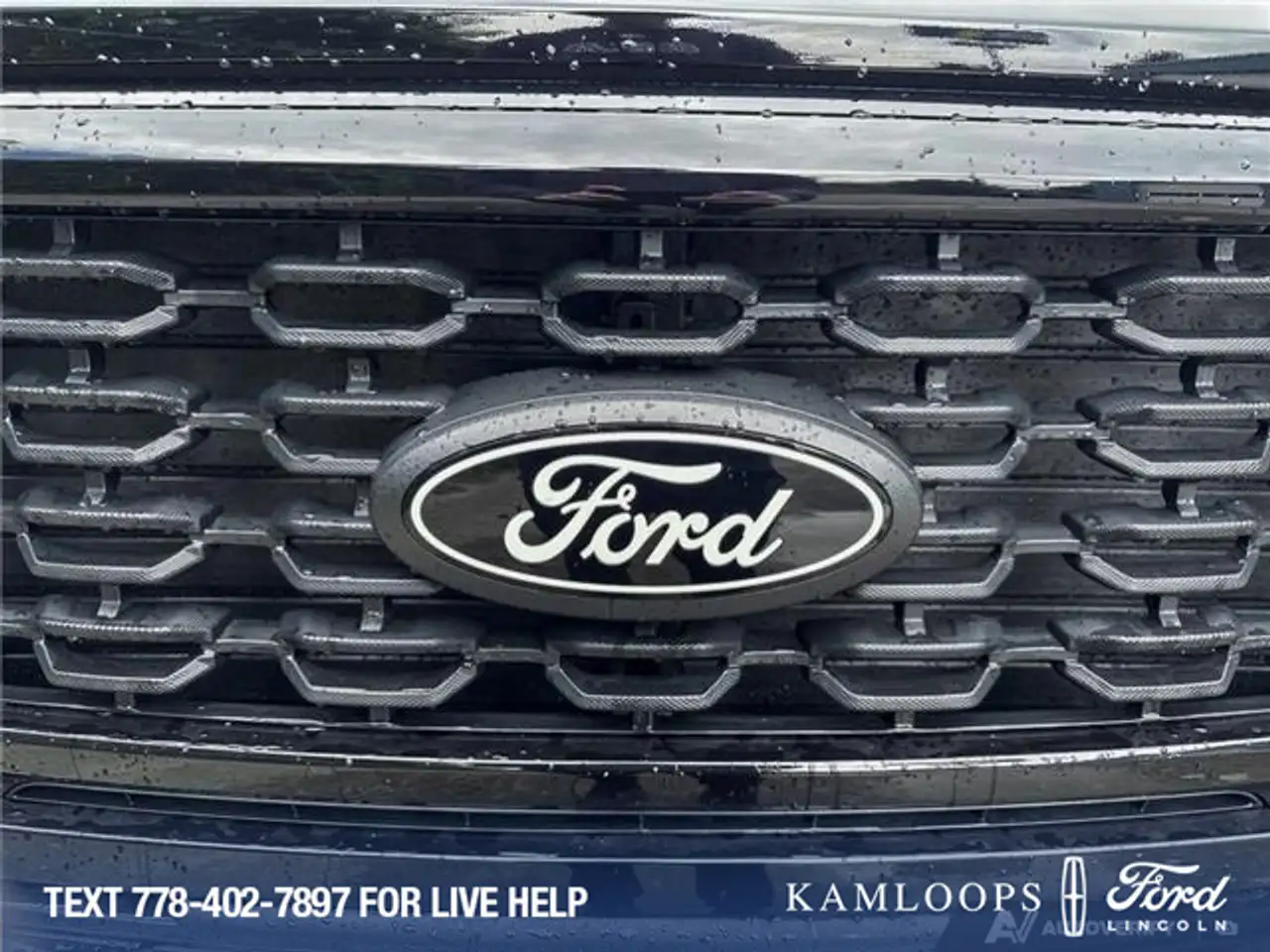 Ford F 150 photo Ford F 150