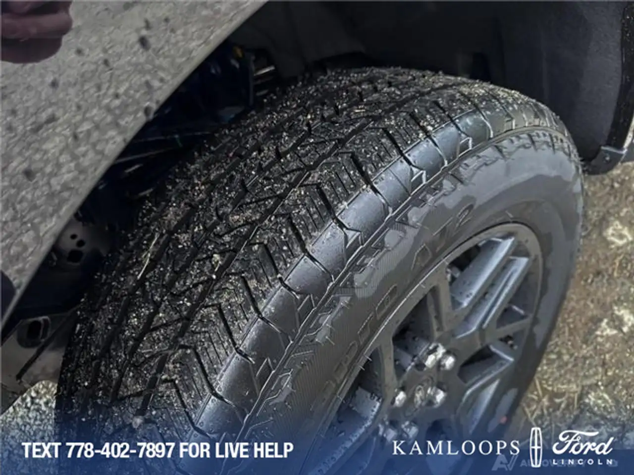 Ford F 150 photo Ford F 150