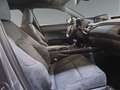 Lexus UX 250h Business Navigation 2WD Schwarz - thumbnail 6