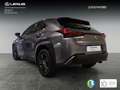 Lexus UX 250h Business Navigation 2WD Siyah - thumbnail 2