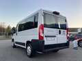 Fiat Ducato 2.2 M-Jet 140CV 6M - PANORAMA - 9 POSTI Bianco - thumbnail 2