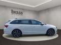 Skoda Octavia Combi 2.0 TDI DPF First Edition Weiß - thumbnail 6