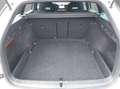 Skoda Octavia Combi 2.0 TDI DPF First Edition Weiß - thumbnail 19