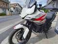 Zontes 703F - DEMO Bianco - thumbnail 3