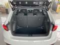 Skoda Fabia 1.0TSI Monte Carlo Sportfahrwerk Panorama Lenkradh Weiß - thumbnail 27