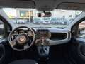 Fiat Panda Panda III 2021 1.0 firefly CITY PROMO FREEDOM Grijs - thumbnail 14