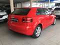 Audi A3 1.6TDI Ambiente Rosso - thumbnail 6